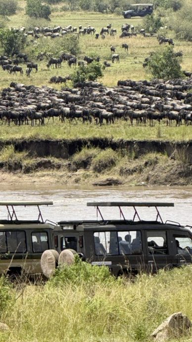 【非洲‧坦桑尼亚】等待中的奇观：塞伦盖蒂的生命长河