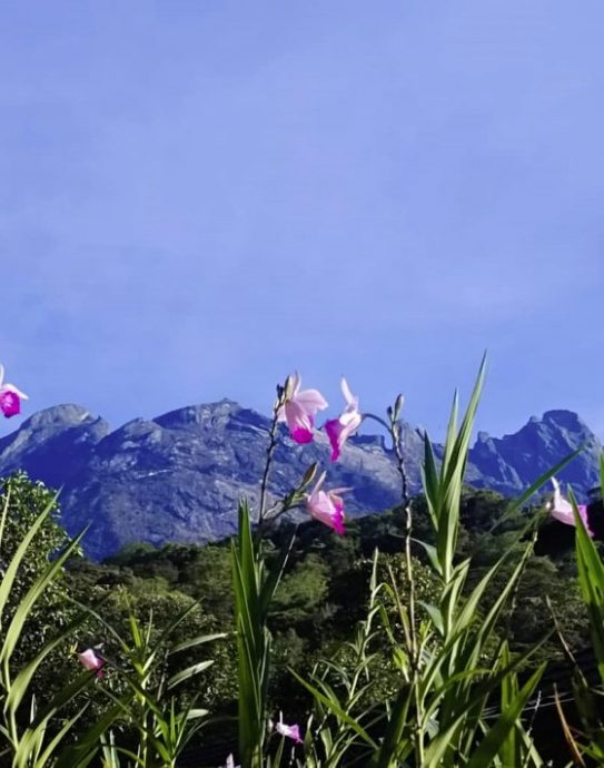 【马来西亚‧沙巴】在风下之乡，来一趟温故知新的旅程