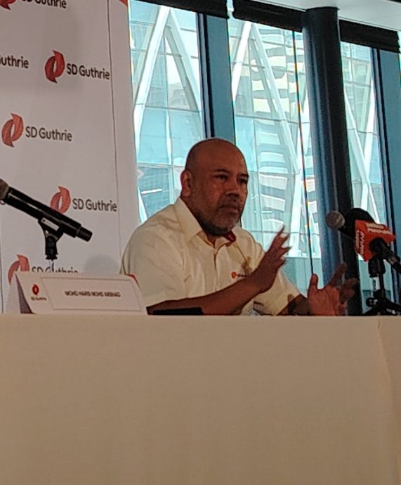 上游强劲抵销下游疲软 森牙直利次季多赚22%