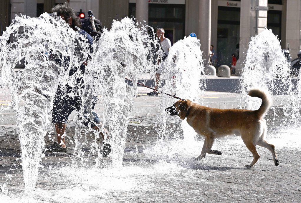 世界气象组织：极端高温影响全球大量人口