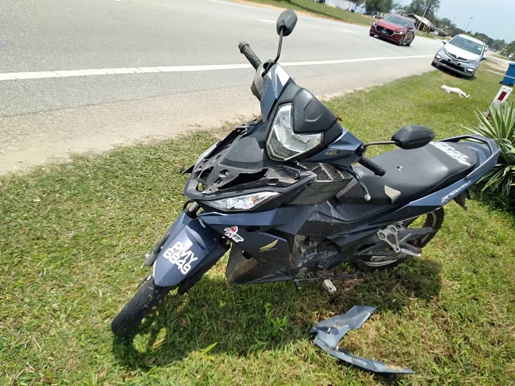 东:已签发:摩托车撞上一只忽然冲出马路的流浪狗,导致骑士和他5岁的儿子受伤。