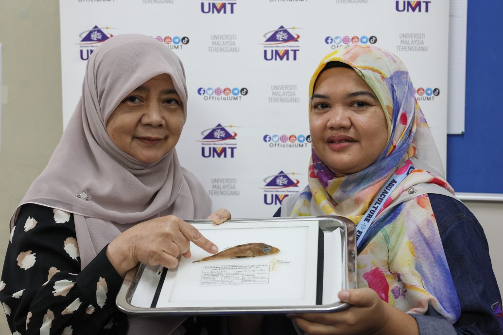 东：已签发：登嘉楼马来西亚大学（登大）的研究人员成功在南中国海水域发现一种新鱼类，并将其命名为“Rogadius azizahae”。