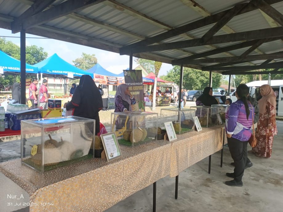 东：百乐县榴梿日嘉年华反应热烈