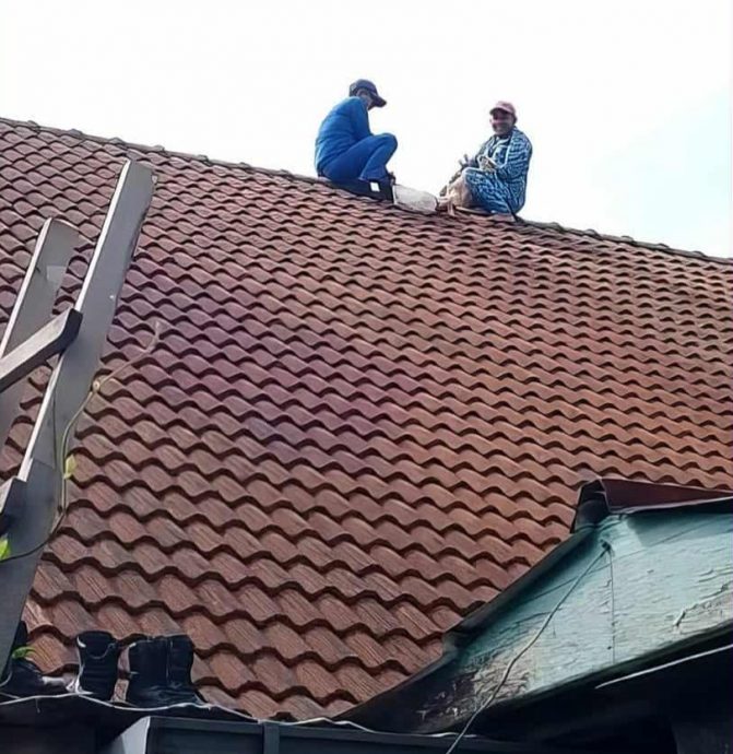 东:罕见的拯救任务。哥打峇鲁的甘榜古邦卡章有两头受困在民宅屋顶上的山羊,最后成功获得民防局哥打峇鲁分队救下来。