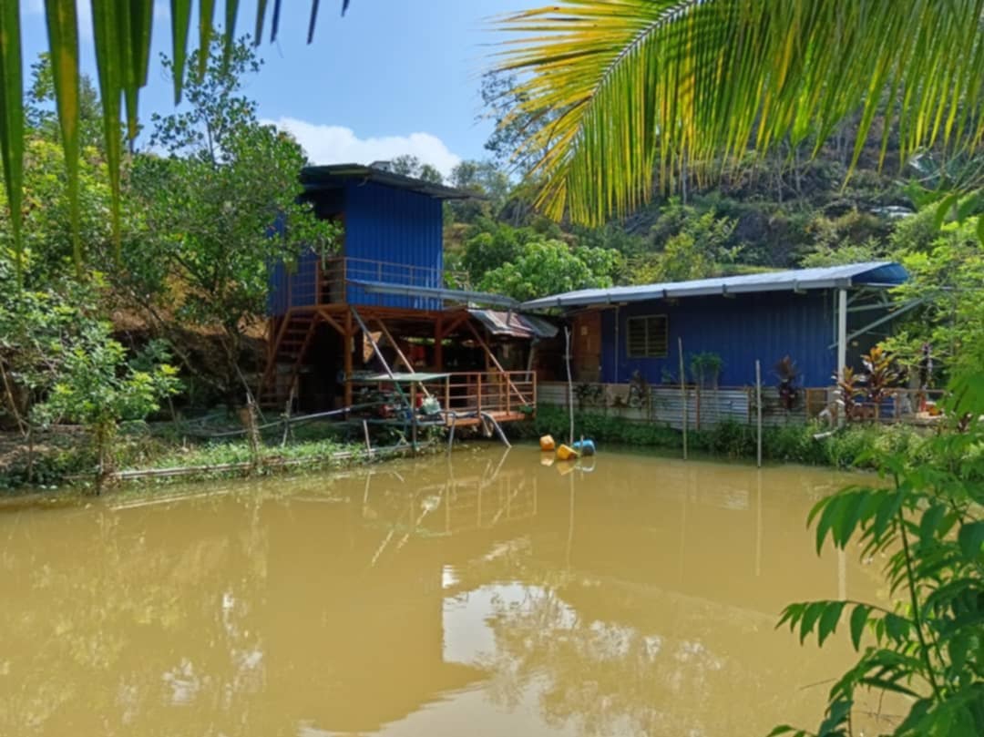 东:话望生种植商(榴梿/油棕)公会在该会副主席陈富贵的率领之下,专程参观本年度猫山王榴莲比赛荣登冠军宝座及亚军杯得奖者的果园,以进一步了解如何能栽种出如此优质的猫山王榴梿!