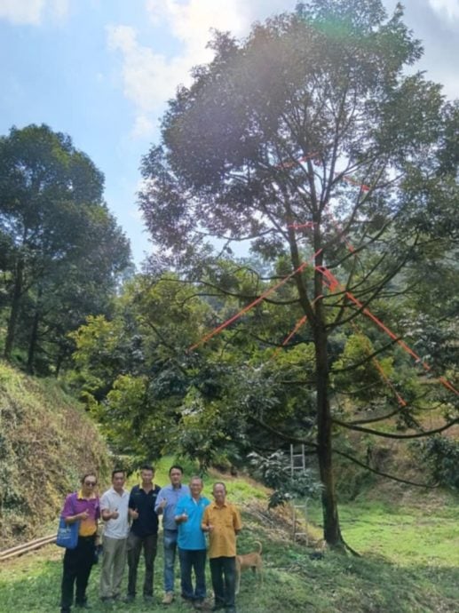东:话望生种植商(榴梿/油棕)公会在该会副主席陈富贵的率领之下,专程参观本年度猫山王榴莲比赛荣登冠军宝座及亚军杯得奖者的果园,以进一步了解如何能栽种出如此优质的猫山王榴梿!