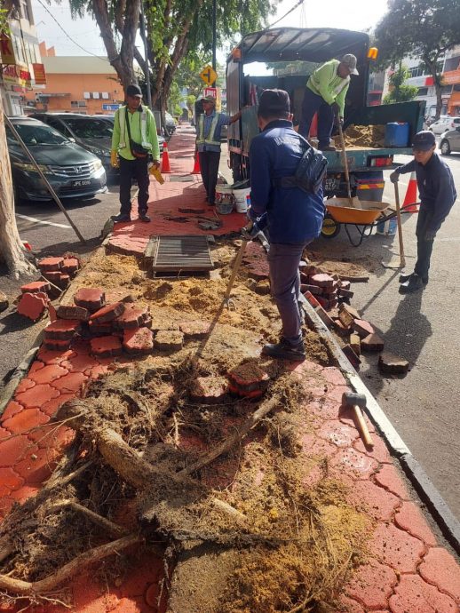 东:(已签发)关丹市政厅修缮人行道美化市容