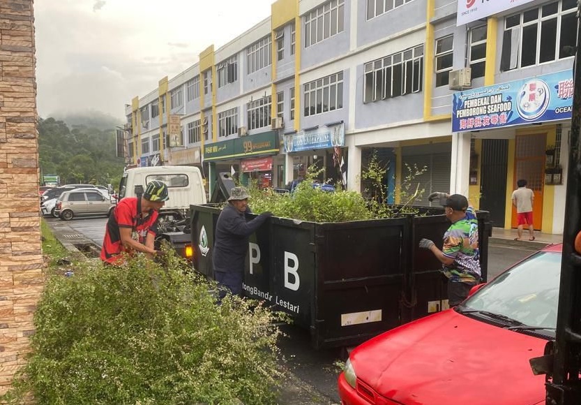 东:(已签发)市议会修剪Desa Pertiwi商业中心过高的树木