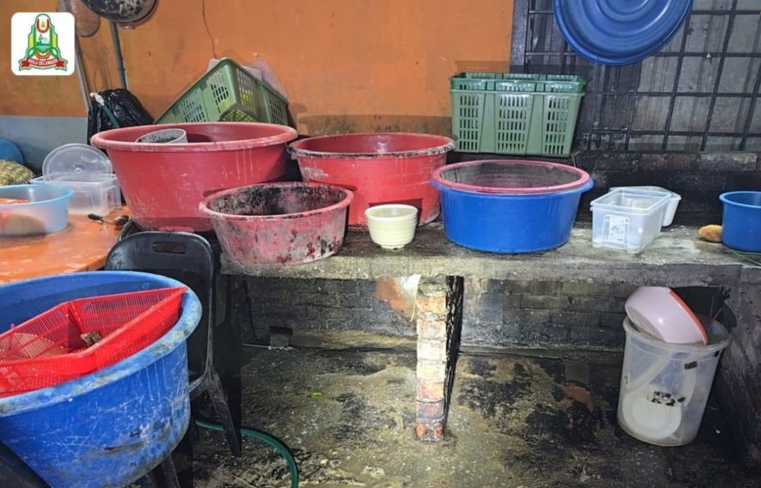 乌雪市会突检开18罚单 4餐馆“太脏”罚2.8万