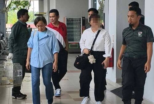 以为是山猪却是濒危物种 夫妇误购须猪肉遭罚