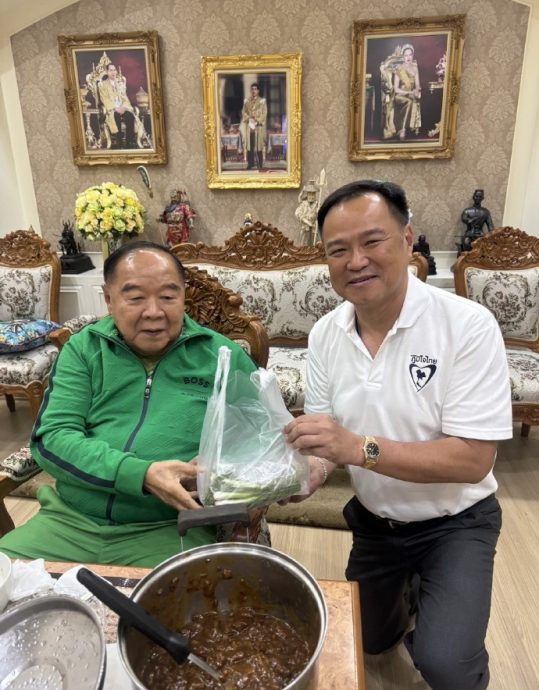 佩通坦被解职∕帕拉维支持阿努廷 出任临时首相6个月