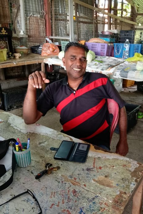 供星洲网:公市小贩活擒一条长约10尺的蟒蛇,却被逃脱