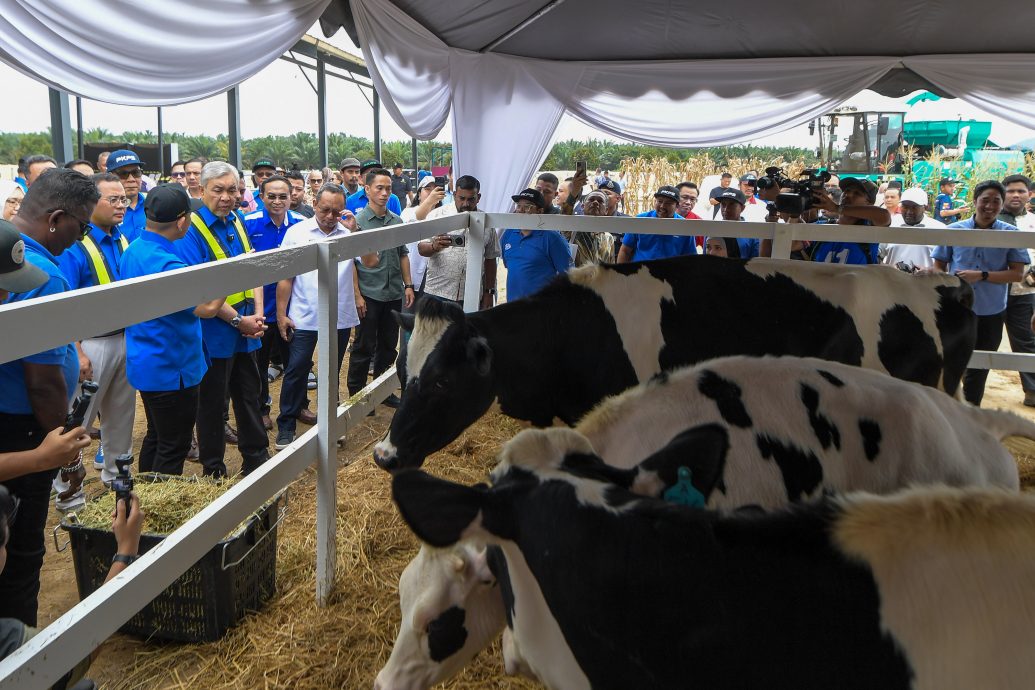 促农企善用TVET发展农业·副揆：减少依赖粮食进口