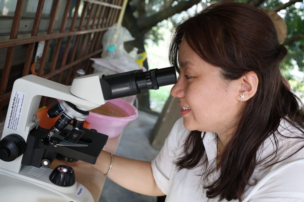 倒环保酵素净化湖水《星洲日报》迈向永续未来一大步！