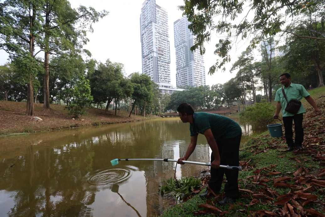 倒环保酵素净化湖水《星洲日报》迈向永续未来一大步！