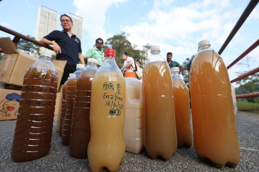 倒环保酵素净化湖水《星洲日报》迈向永续未来一大步！