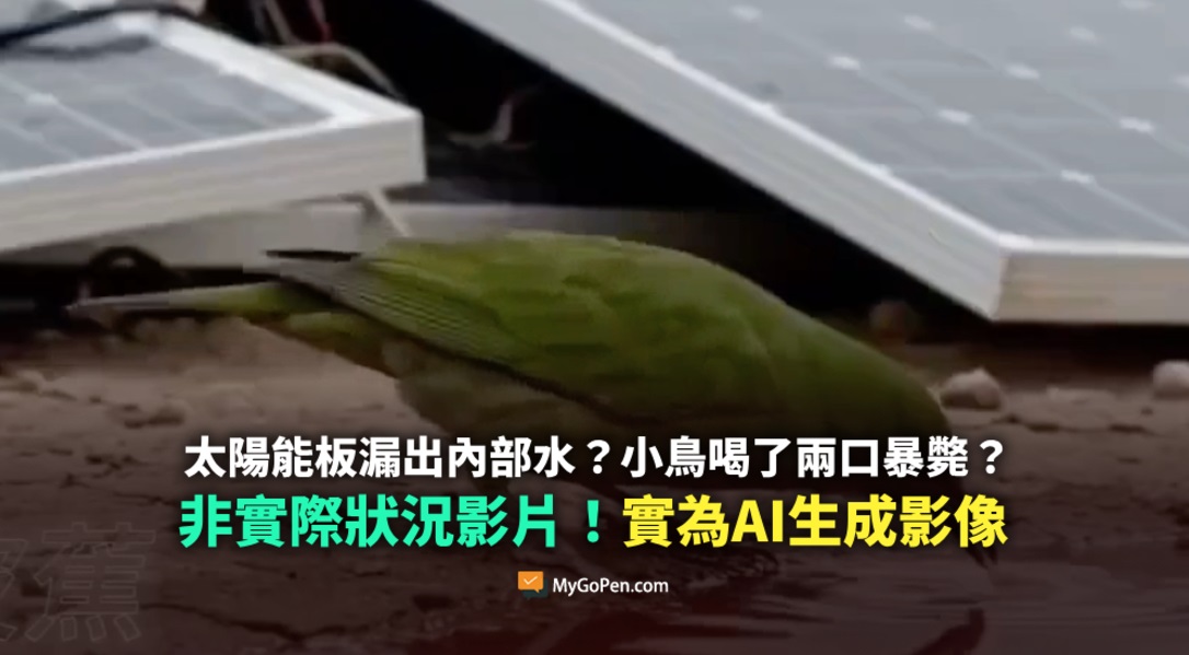 全国：求真：网传小鸟喝了两口太阳能板漏出内部水立刻暴毙？假的！