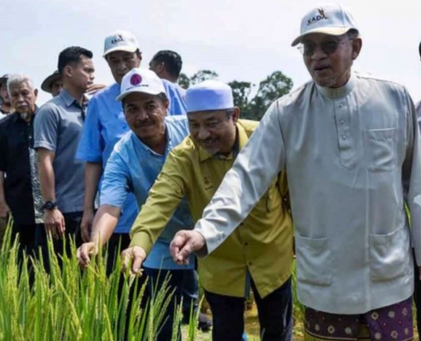 全国：首相拿督斯里安华今天前往丹州穆龙区格玛莱的有机稻米村，视察由格姆布农业发展局推动的稻米种植项目。