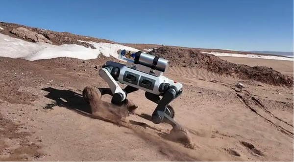 全球首只“机器藏羚羊”曝光　成功伪装混入羊群“零干扰观测”