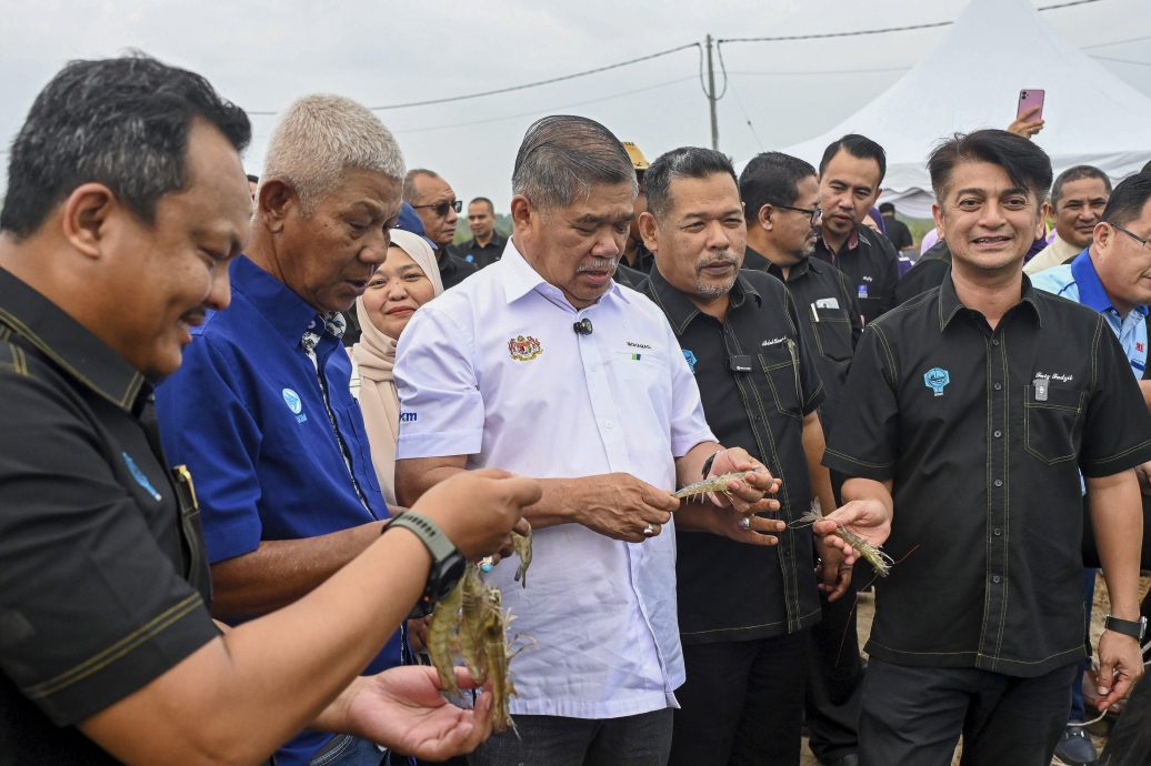 全:已签发/北根巴东养殖计划从石斑鱼扩展至白虾 莫哈末沙布:致力提升水产养殖业