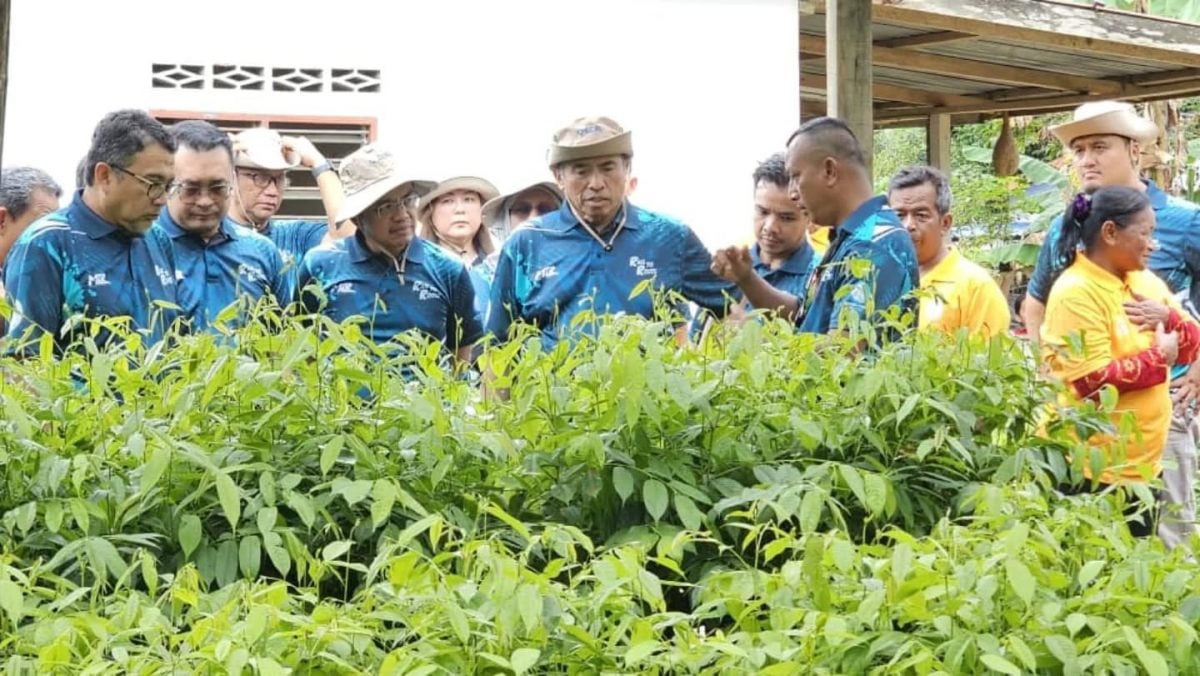 全：（未签发)马来西亚铁路衔接公司在文冬永久森林保留区，成功种植了3000棵树苗，作为“铁道护根（Rail to Roots）：森林退化保育与能力建设计划”的一部分