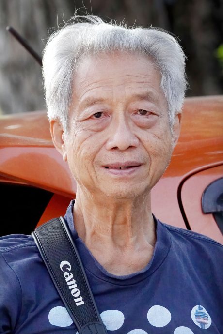 凤头蜂鹰第一花园两度筑巢繁衍 摄影爱好者蜂拥而至