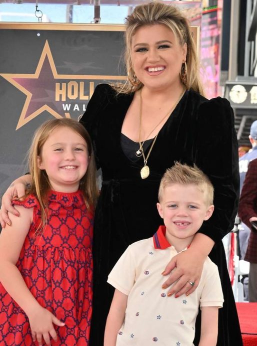 前夫癌逝 凯莉克莱森叫停个唱陪子女