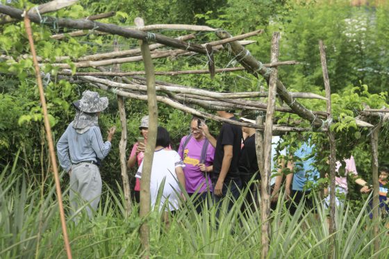 卓衍豪/由下而上、积少成多──马来西亚的创生DNA