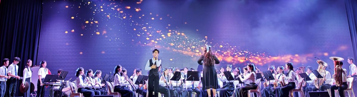 南华独中“文艺大汇演” 展示多元与团结