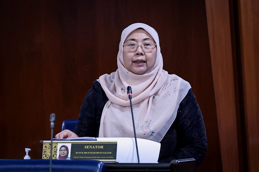 即时国会∕政府暂未落实针对性煤气补贴 傅芝雅：中小餐饮业继续受惠