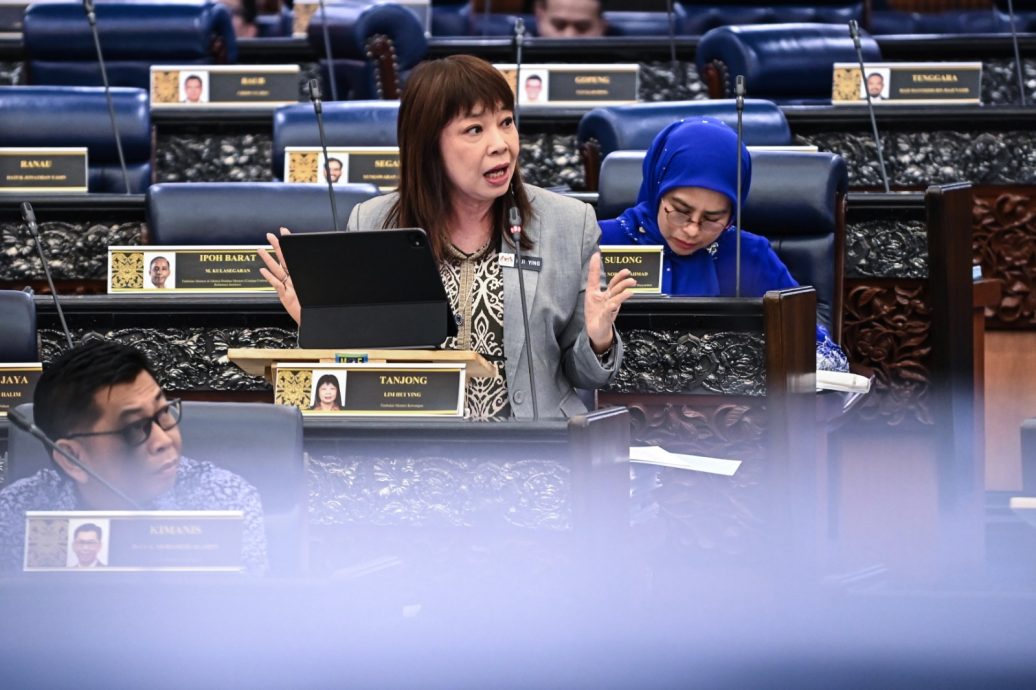 即时国会∕逾16万“先买后付”账户未清偿　林慧英：违约率不到0.5%！