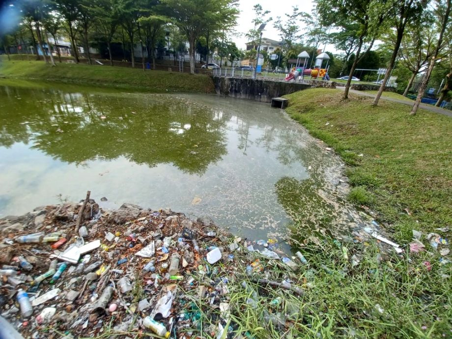 可做早报版头－大都会/加影TTDI Grove蓄洪池飘臭/6图