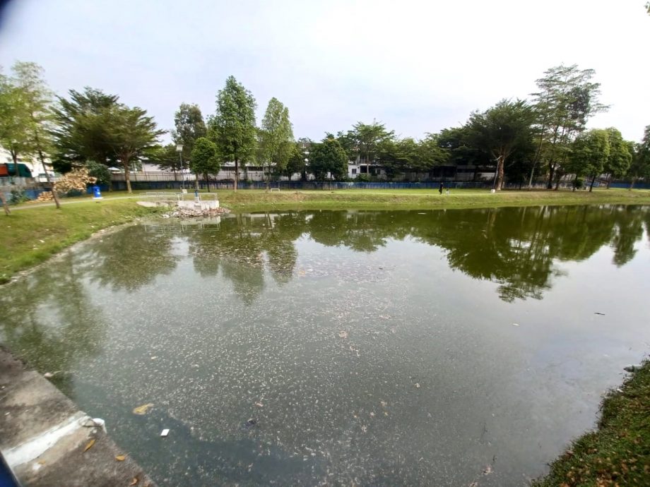 可做早报版头－大都会/加影TTDI Grove蓄洪池飘臭/6图