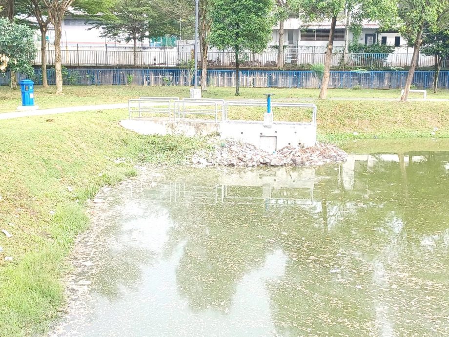 可做早报版头－大都会/加影TTDI Grove蓄洪池飘臭/6图