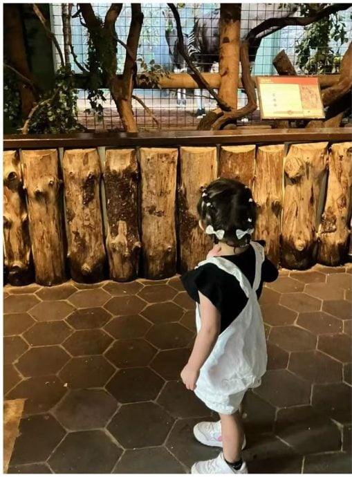 周董幺女抽高速度全家第一 3岁已是电竞高手？