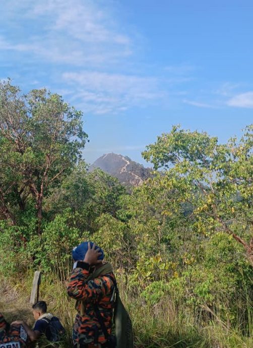 和丰光头山林火 幸迅速受控无伤亡