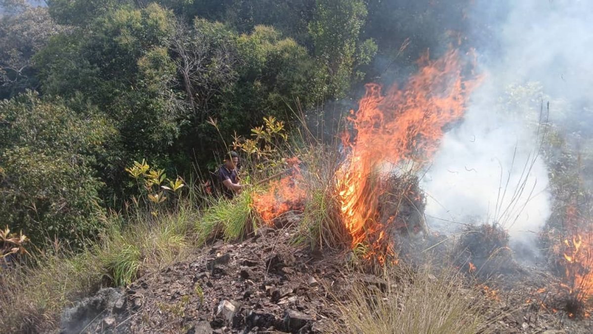 和丰光头山林火 幸迅速受控无伤亡