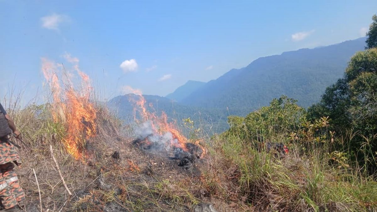 和丰光头山林火 幸迅速受控无伤亡