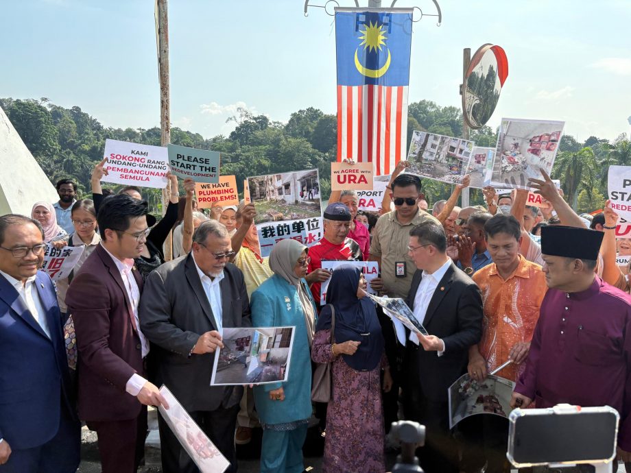 国会外呈备忘录　逾百老人暴晒挺倪可敏