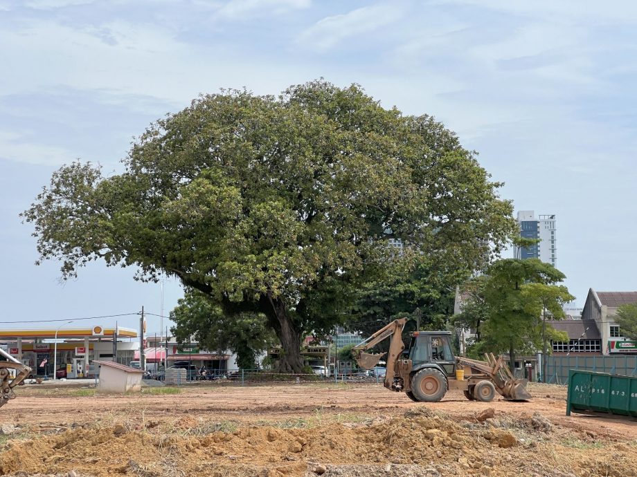 培风新宿舍动工奠基·料明年竣工