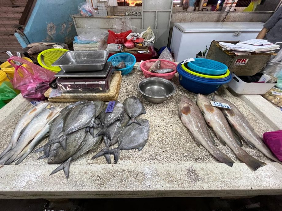 多因素影响渔获骤减 少鱼少客冷清价无起