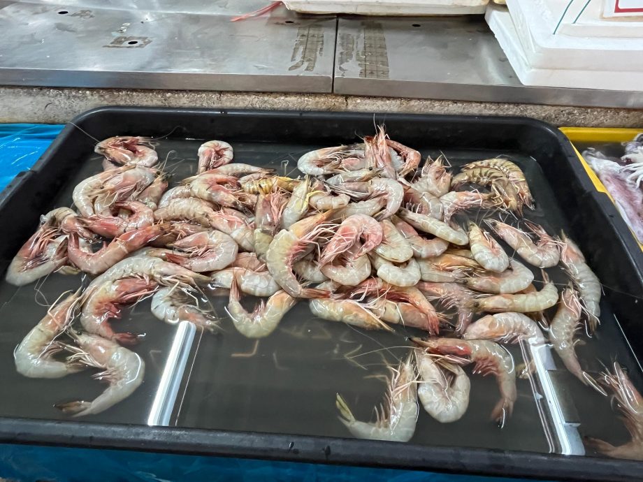 多因素影响渔获骤减 少鱼少客冷清价无起