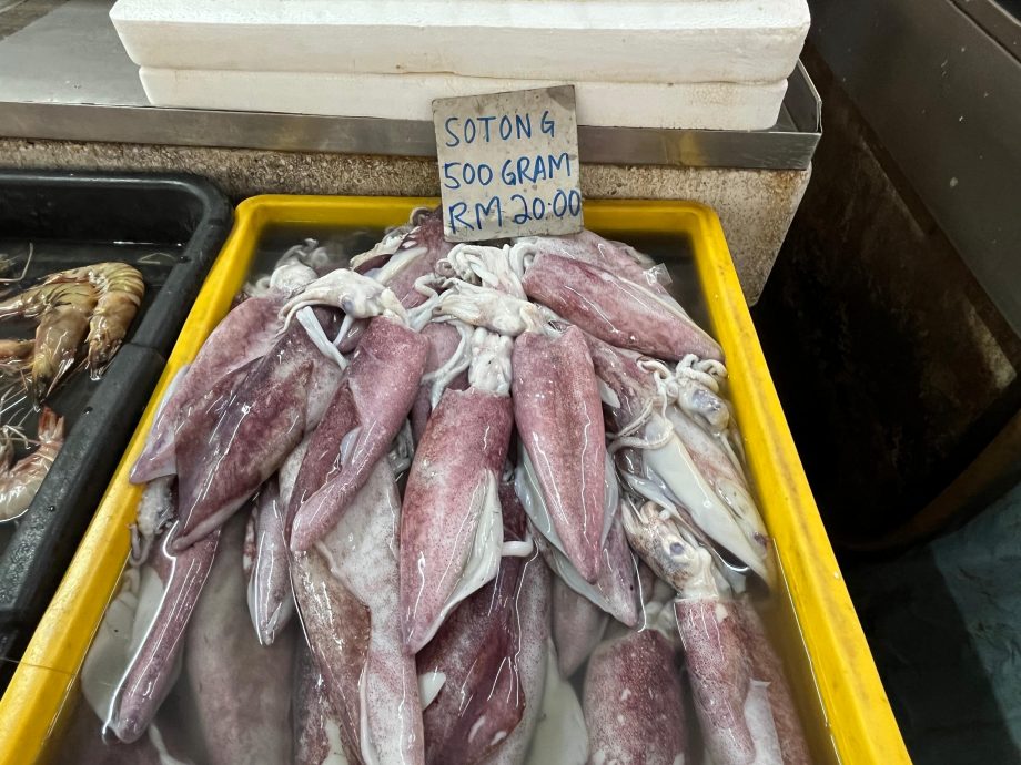 多因素影响渔获骤减 少鱼少客冷清价无起