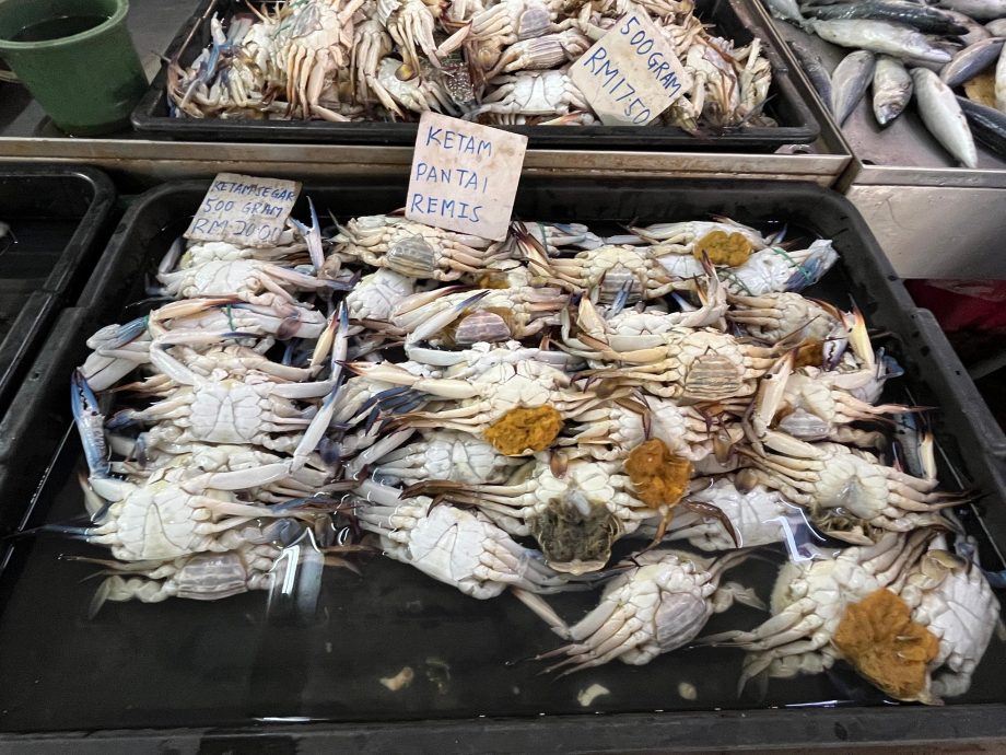 多因素影响渔获骤减 少鱼少客冷清价无起