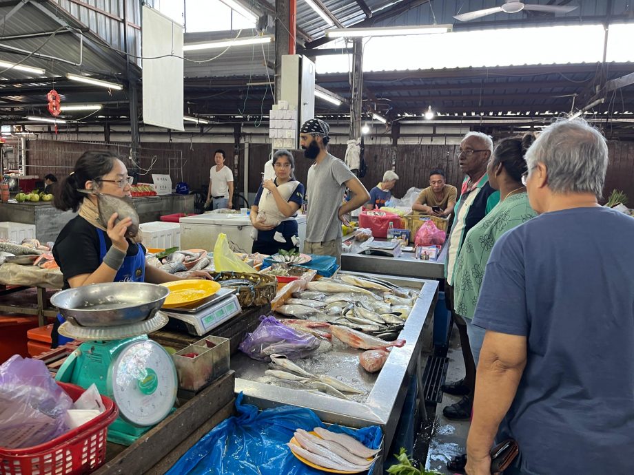 多因素影响渔获骤减 少鱼少客冷清价无起