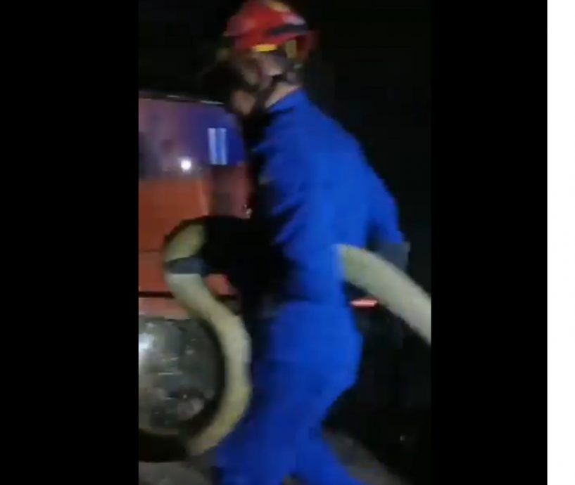 (大北马)4米眼镜巨蛇闯民宅吓坏村民