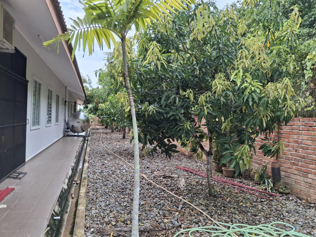 (大北马）伯特利山老人院筹15万，提升长者休闲生活品质