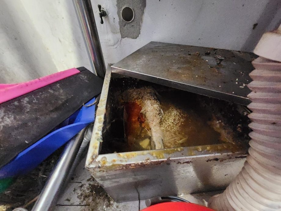 大都会-DBKL取缔32食肆 3间被关开44罚单/4图