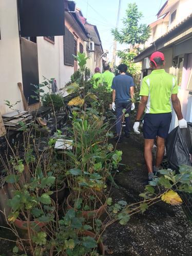 大都会/做头/跟进骨痛热症疫苗