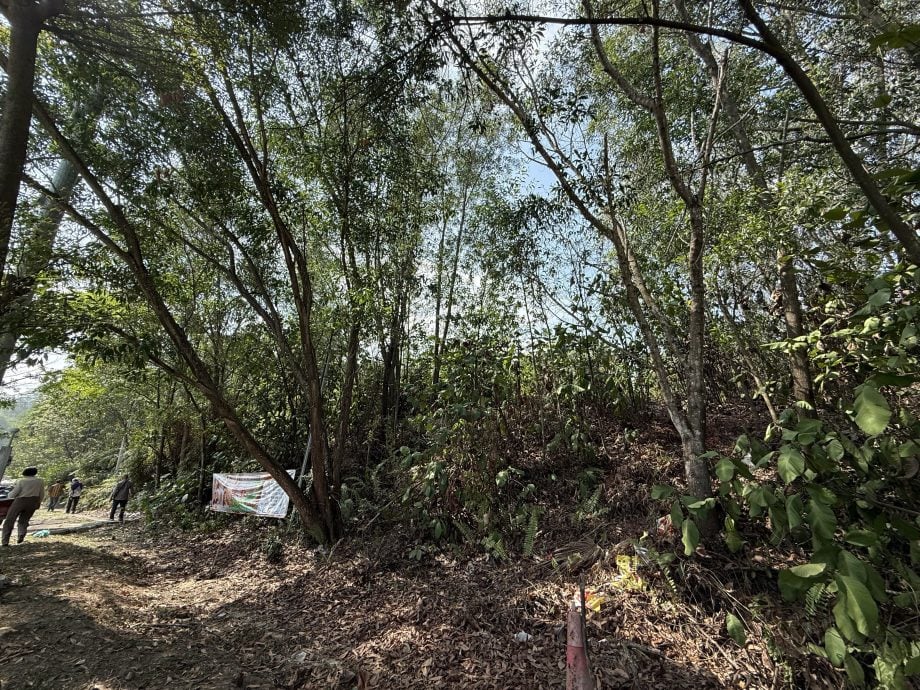 大都会封面主文:爱美乐华小校地基设不足 爱华教义演筹200万/7图